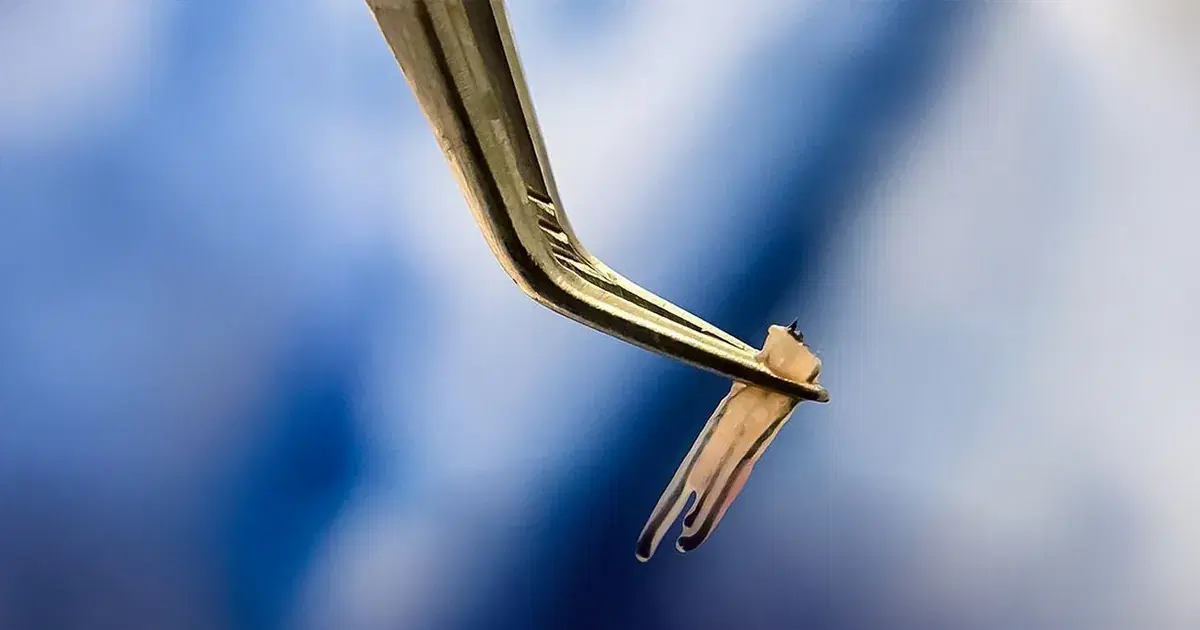 About Us Esthetic Hair