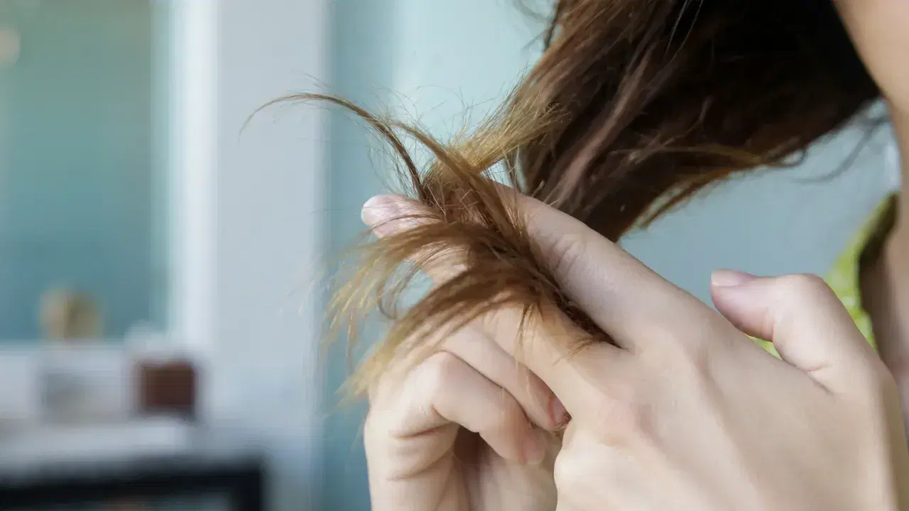 Hair Breakage vs Hair Loss: How to Tell the Difference