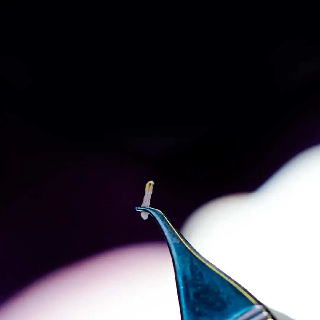 <h3><span style="color: rgb(247, 248, 248);">Follicle Extraction</span></h3>