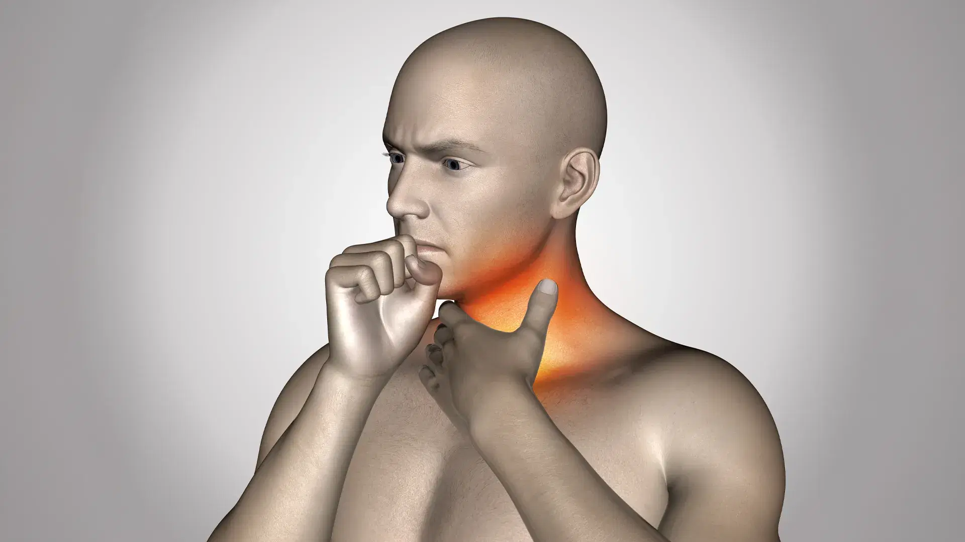 What Is the Thyroid and What Does It Do?