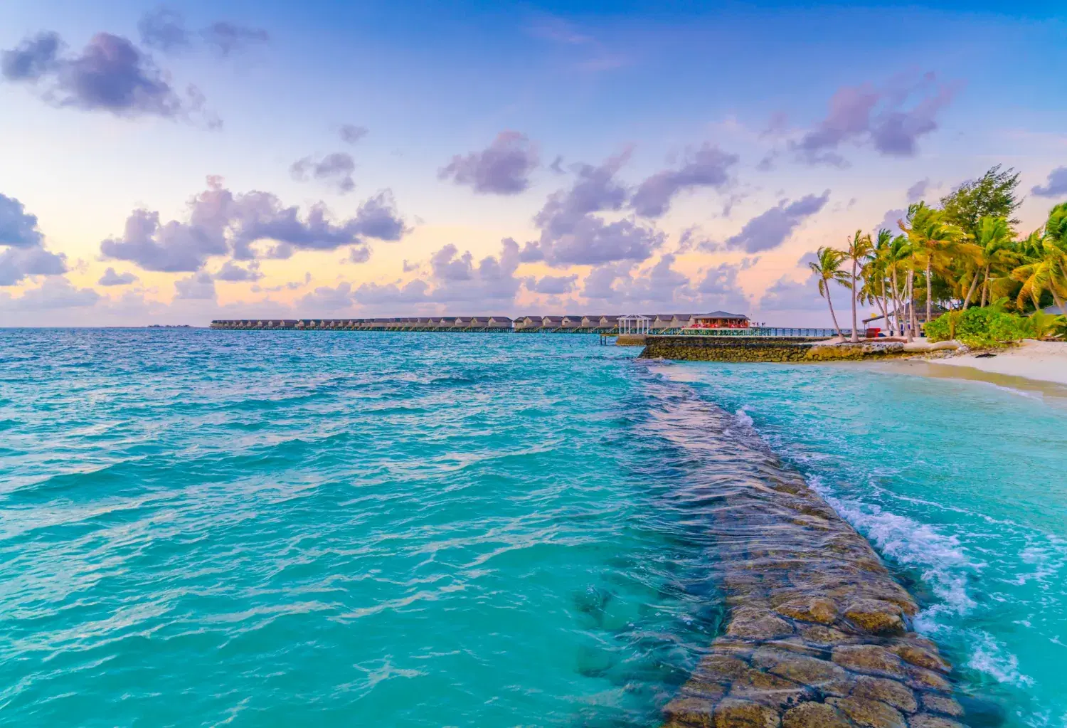 DHI Hair Transplant in Mexico Cancún