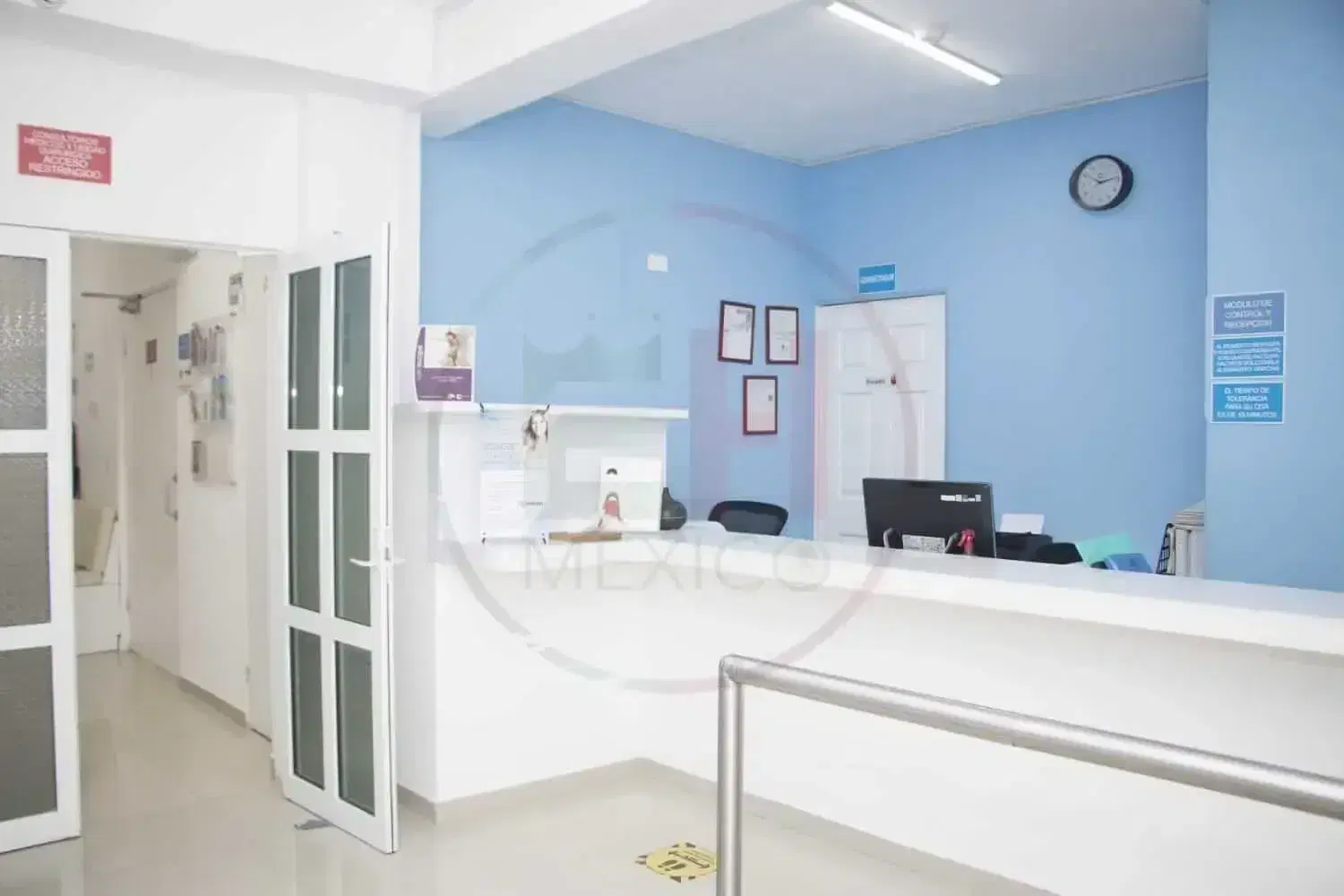 esthetichairmexico